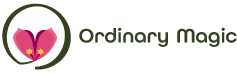 ordinary magic logo